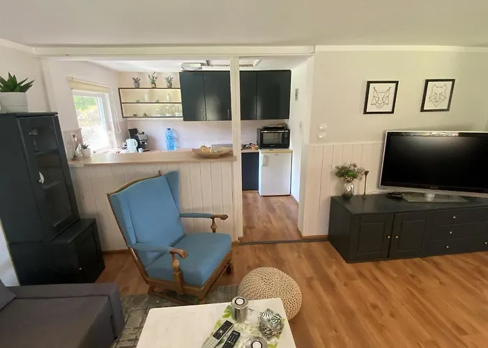 Tatil Evi Dom Nad Jeziorem - House By The - Bory Tucholskie Borzechowo